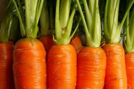 Samstag: Carrotmob im Vitamin Bazar