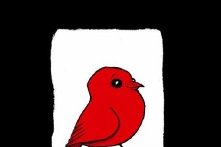 Kleiner Vogel rot