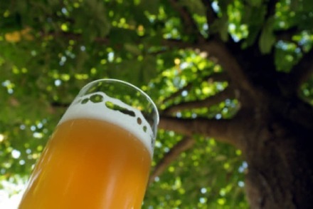 Heute öffnet der Sommer-Biergarten in der Mensa Rempartstraße