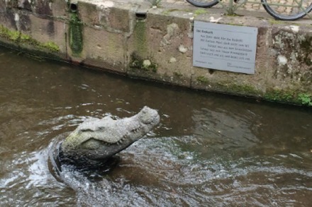 Das Krokodil im Gewerbebach hat sich gedreht