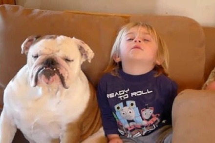 Video: Ein sehr müder kleiner Junge und seine sehr müde Bulldogge