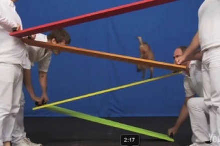 Das OK GO-Hundetanz-Video