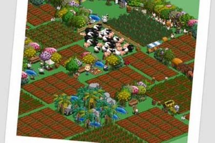 Farmville: Kühe melken auf Facebook