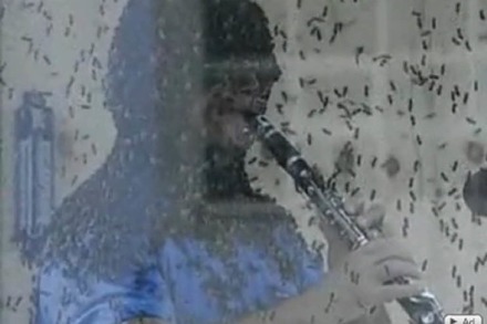 Dieser Mann hat hunderte von Bienen auf dem Kopf - und spielt Klarinette