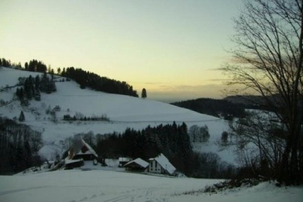 Schneespaziergang in Horben (58)