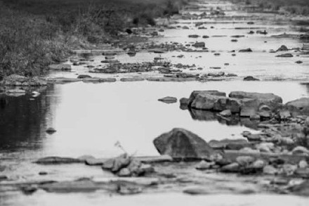 Fotos: Die Dreisam (fast) ohne Wasser