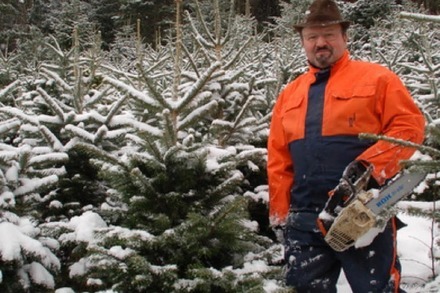 Hugos Privatwald: Hier kannst du deinen eigenen Weihnachtsbaum fällen
