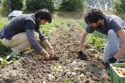 Solidarisches Gemüse: Ein Besuch bei der GartenCoop Freiburg