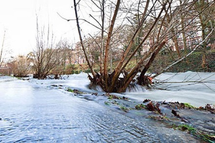 Fotos: Hochwasser am Dreisamufer