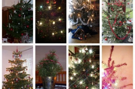 Foto-Galerie: So schön sind Eure Weihnachtsbäume