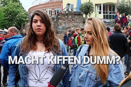 Video-Umfrage auf dem Marijuana March in Freiburg: Macht Kiffen dumm?