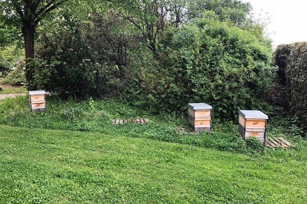 Dieb klaut zwei Bienenstöcke auf dem Friedhof Bergäcker in Littenweiler
