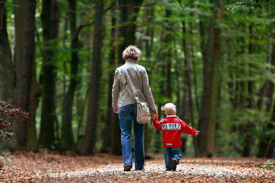 Eine Spaziergängerin entdeckte die beiden Dreijährigen im Wald. (Symbolbild) (Foto: dpa)