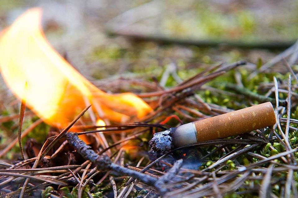 Weggeworfene Kippen können ein Feuer entfachen. Deshalb ist Rauchen im Wald bis Ende Oktober verboten. (Foto: Patrick Pleul)