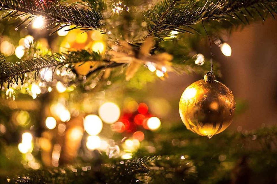 &amp;#8222;Weihnachten ist die schönste Zeit des Jahres&amp;#8220;, meint Maxim Melzer. (Foto: Friso Gentsch (dpa))