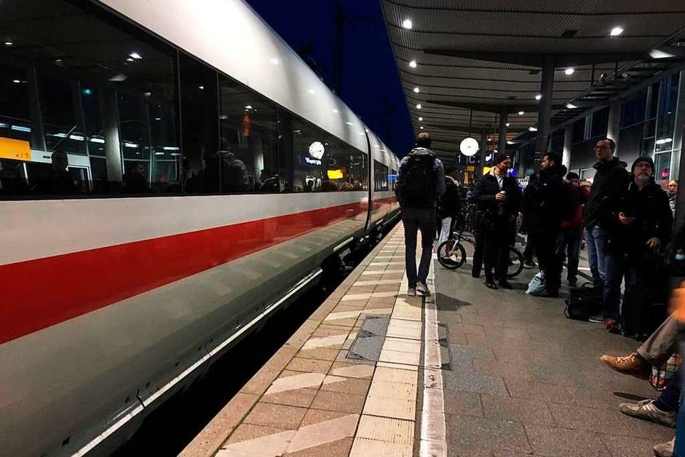 Am Freiburger Hauptbahnhof hat ein 39-Jähriger einen Hundeführer der Bundespolizei vorsätzlich angegriffen und wurde von dessen Hund in die Hand gebissen (Archivbild). (Foto: Carolin Buchheim)