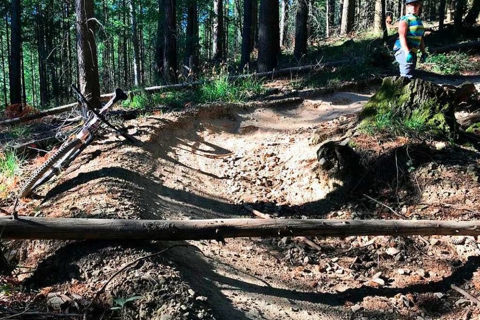 Äste auf dem Trail gefährden Mountainbikefahrer. (Foto: Mountainbike e. V.)