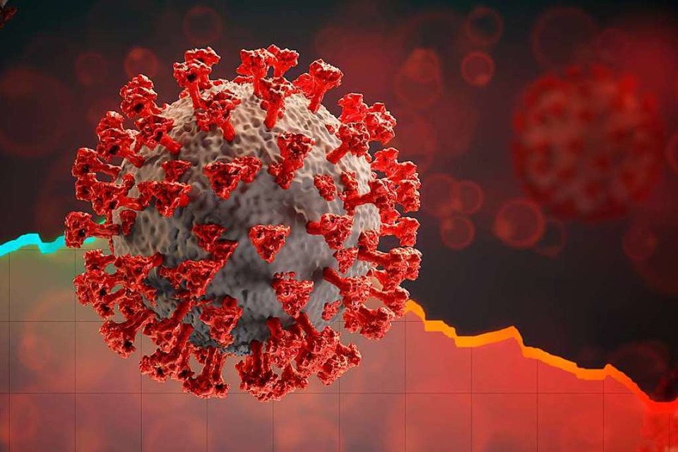 Immunzellen, die nach einer Infektion mit dem neuen Corona-Virus (Illustration) gebildet werden, ermöglichen bei einer erneuten Infektion eine schnelle Antwort des Körpers. (Foto: wetzkaz (stock.adobe.com))