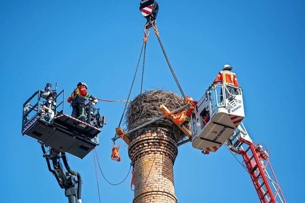 Wegen Absturzgefahr: Freiburger Feuerwehr trägt Storchennest auf 30 Meter hohem Kamin ab