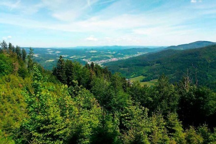 Aktivurlaub vor der Haustür: 3 Fernwanderwege rund um Freiburg