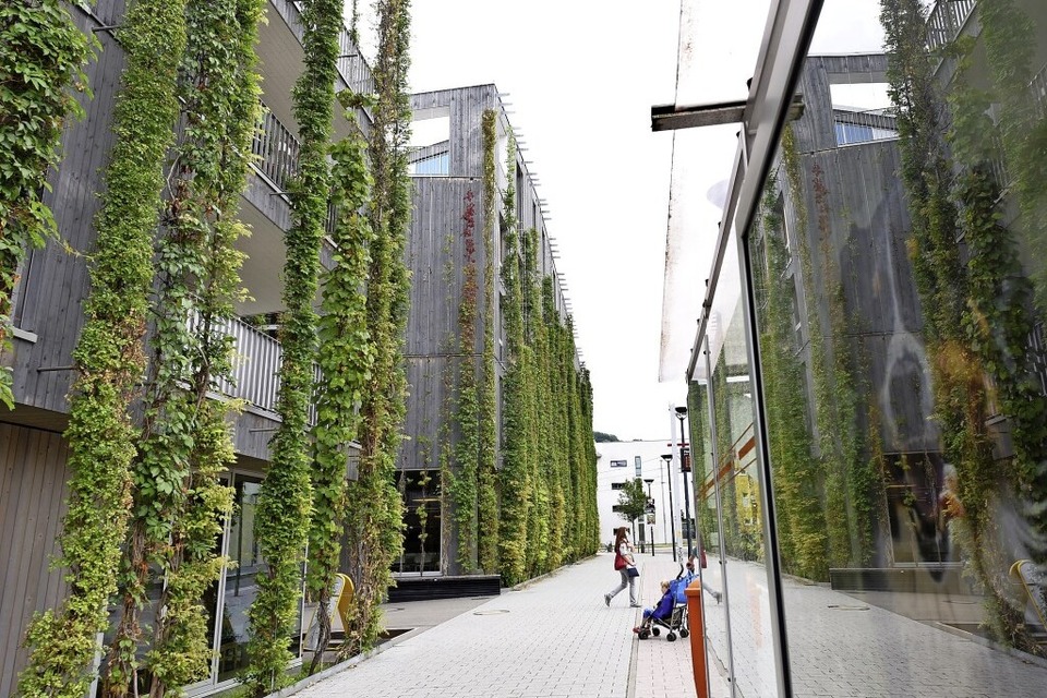 Das Green-City-Hotel in Vauban ist eins der augenfälligen Beispiele für Fassadenbegrünung. (Foto: Rita Eggstein)