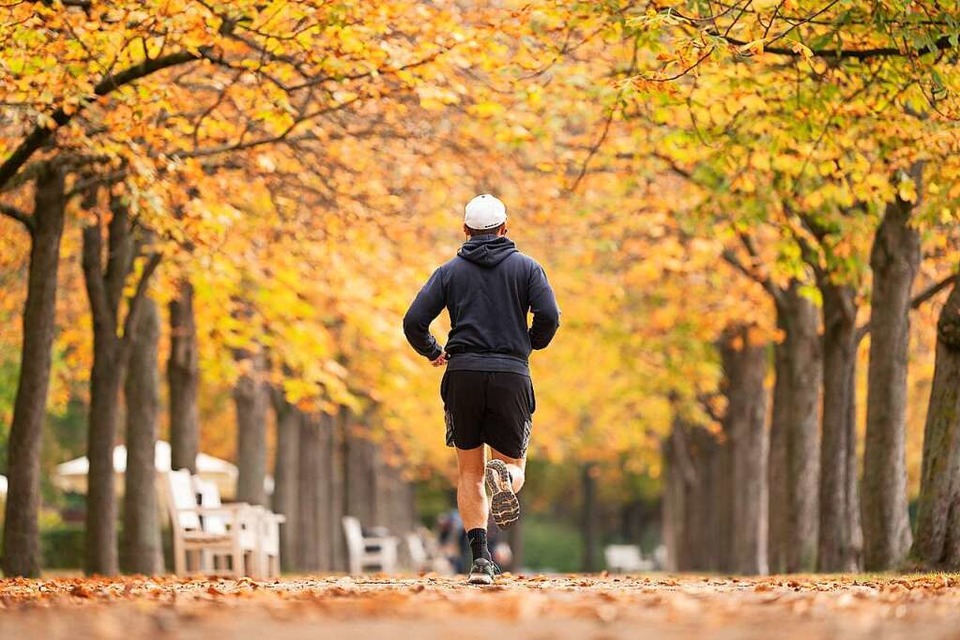 Bunte Blätter, frische Luft: fudder hat Tipps für Laufstrecken im Herbst (Foto: Sebastian Kahnert (dpa))