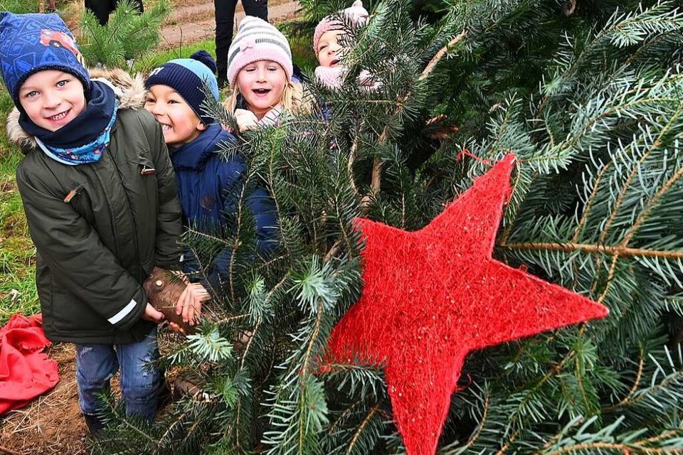 Weihnachtsbaum kaufen und schmücken? Eine super Kinder-Beschäftigung. (Foto: Bernd Settnik (dpa))