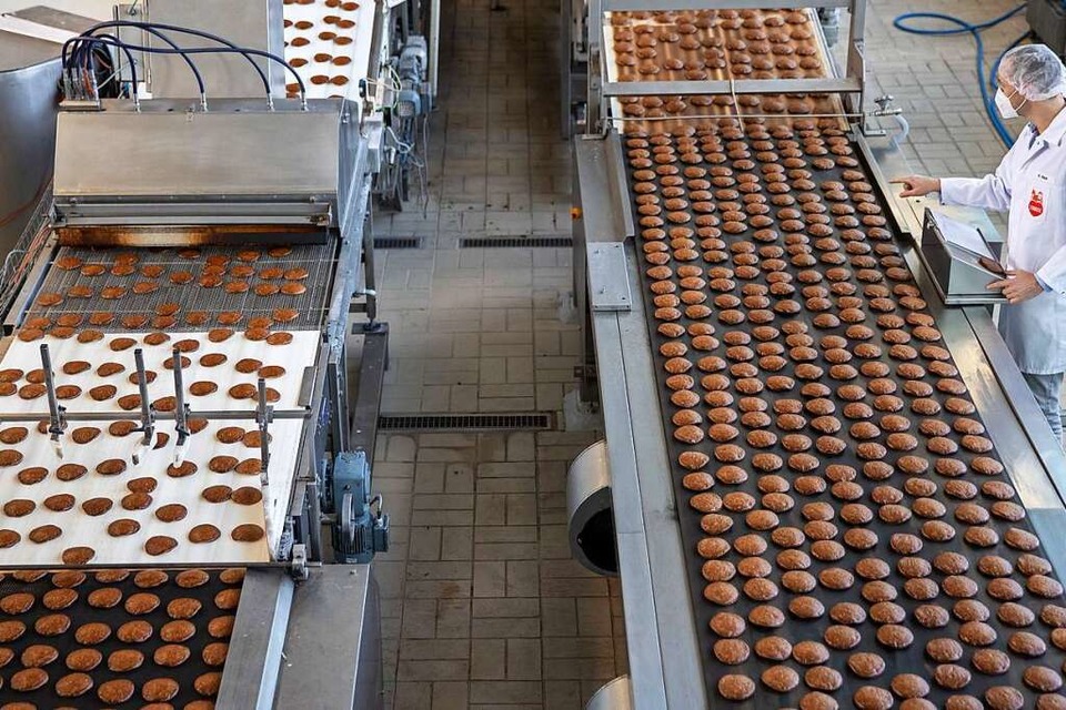 Frisch gebackene Lebkuchen laufen auf einem Band aus einem Ofen in der Produktion des Lebkuchenherstellers Schmidt. (Foto: Daniel Karmann (dpa))